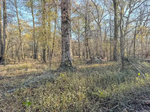 Sfc 255, Palestine, AR 72372 photo 39