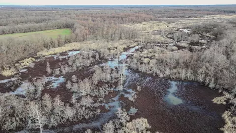 Sfc 255, Palestine, AR 72372