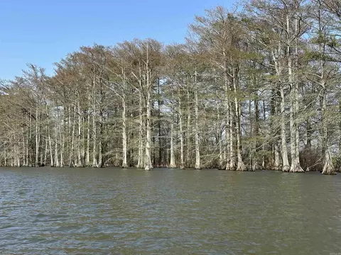 View/Area - 849 Hwy 212, Dumas, AR 71639 photo 6 of 6