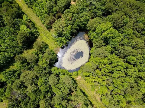 246 Kirkendoll Rd, Clinton, AR 72031 photo 2