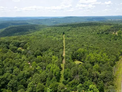 246 Kirkendoll Rd, Clinton, AR 72031 photo 14