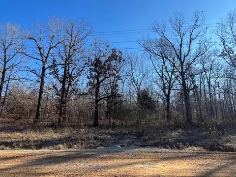 lot Apt 35 And 50 Onaga Rd, Cherokee Village, AR 72529