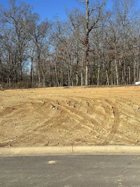 lot245 Bighorn Dr, Benton, AR 72019