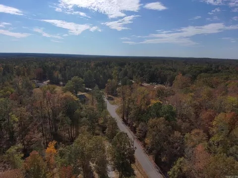 7381 Mars Hill Rd, Bauxite, AR 72011 photo 5