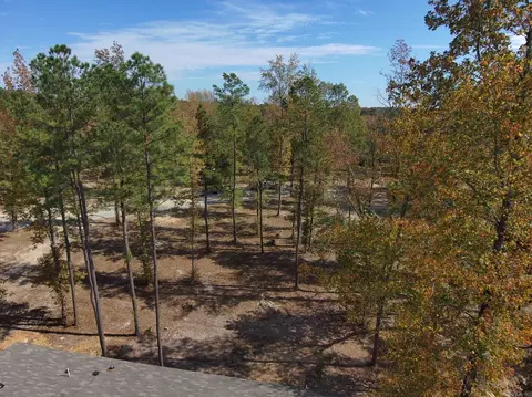 7381 Mars Hill Rd, Bauxite, AR 72011 photo 9