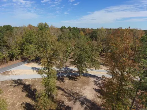 7381 Mars Hill Rd, Bauxite, AR 72011 photo 4
