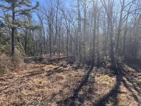Monahan Road, Mountain View, AR 72560 photo 8