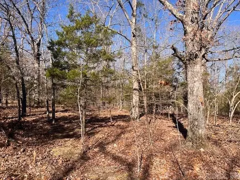 Monahan Road, Mountain View, AR 72560 photo 3