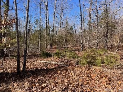 Monahan Road, Mountain View, AR 72560 photo 4