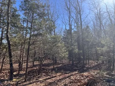 Monahan Road, Mountain View, AR 72560 photo 5