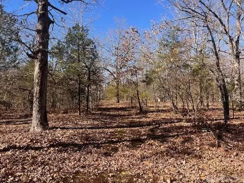 Monahan Road, Mountain View, AR 72560 photo 2