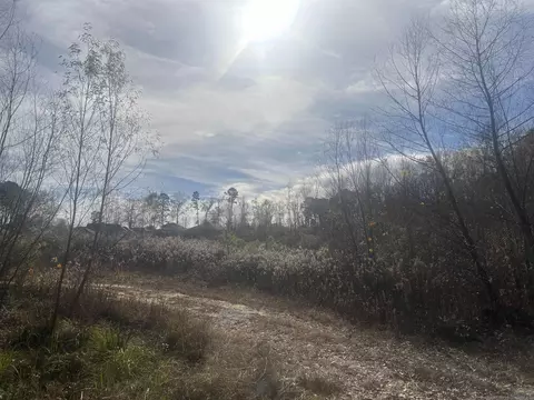 000 Sidell, Benton, AR 72015