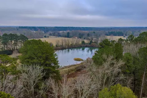 11700 Avilla W, Alexander, AR 72002 photo 12