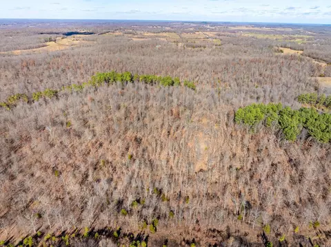 Pleasant Run Rd, Mammoth Spring, AR 72554 photo 4
