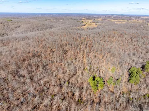 Pleasant Run Rd, Mammoth Spring, AR 72554 photo 14