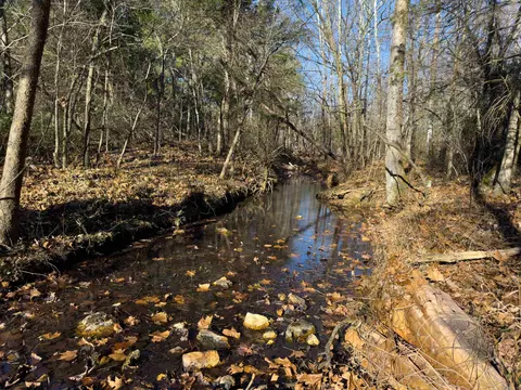 Pleasant Run Rd, Mammoth Spring, AR 72554 photo 2