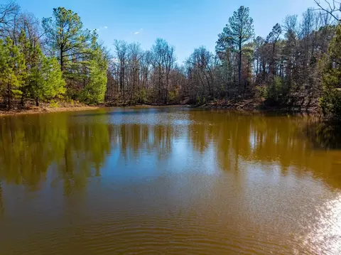 Pleasant Run Rd, Mammoth Spring, AR 72554 photo 19