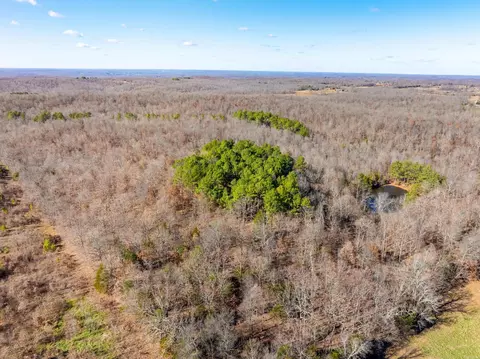 Pleasant Run Rd, Mammoth Spring, AR 72554 photo 15