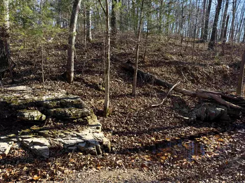 Pleasant Run Rd, Mammoth Spring, AR 72554 photo 10