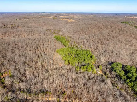 Pleasant Run Rd, Mammoth Spring, AR 72554 photo 17
