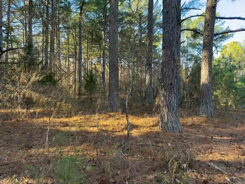 Pleasant Run Rd, Mammoth Spring, AR 72554 photo 9