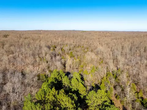 Pleasant Run Rd, Mammoth Spring, AR 72554 photo 18