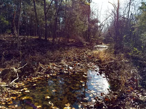 Pleasant Run Rd, Mammoth Spring, AR 72554 photo 12