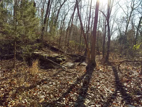 Pleasant Run Rd, Mammoth Spring, AR 72554 photo 3