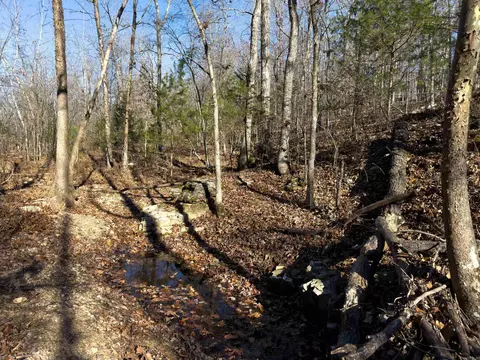 Pleasant Run Rd, Mammoth Spring, AR 72554 photo 11