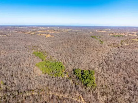 Pleasant Run Rd, Mammoth Spring, AR 72554 photo 5