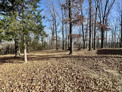 Exterior - 1400 Antioch Rd, Melbourne, AR 72556 photo 3 of 4