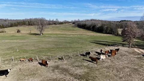 Other - 1400 Antioch Rd, Melbourne, AR 72556 photo 12 of 19