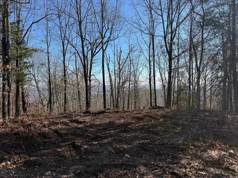 tbd Cr 5261, Oark, AR 72852