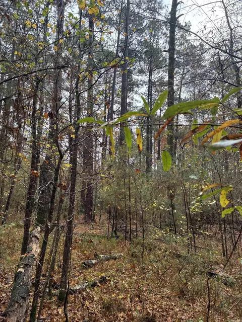 26 Acres Joan St, Camden, AR 71701