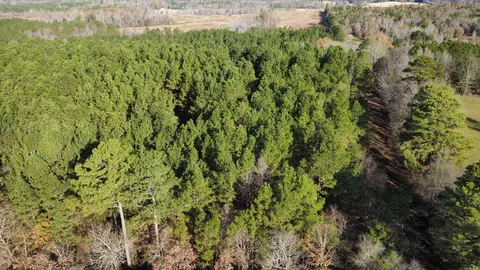 Broken Bow Lane, Bismarck, AR 71929 photo 9