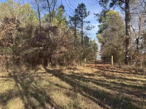 Broken Bow Lane, Bismarck, AR 71929 photo 11