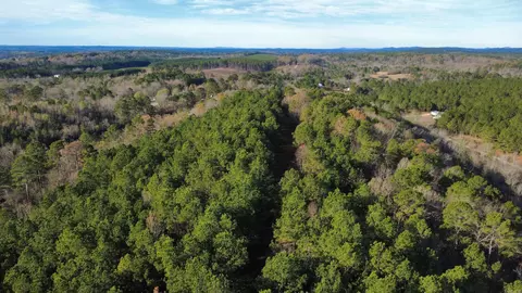 Broken Bow Lane, Bismarck, AR 71929 photo 2