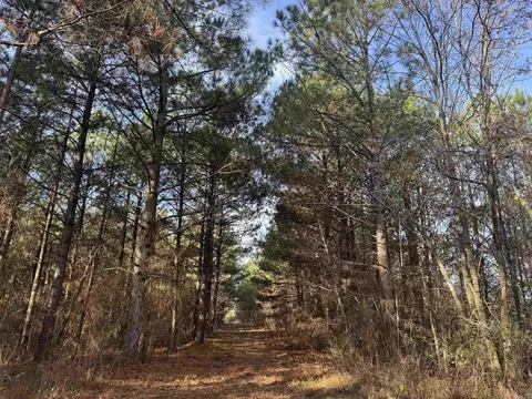 Broken Bow Lane, Bismarck, AR 71929 photo 13