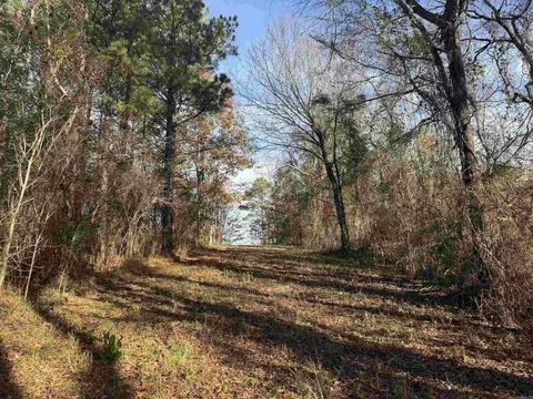 Broken Bow Lane, Bismarck, AR 71929 photo 12