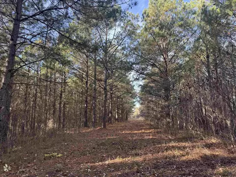 Broken Bow Lane, Bismarck, AR 71929 photo 14