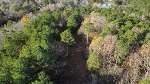 Broken Bow Lane, Bismarck, AR 71929 photo 4