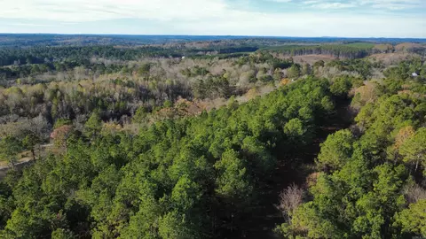 Broken Bow Lane, Bismarck, AR 71929 photo 3