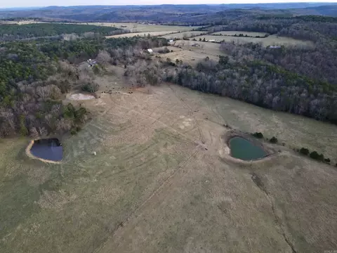 313 Cone Ln, Clinton, AR 72031 photo 46