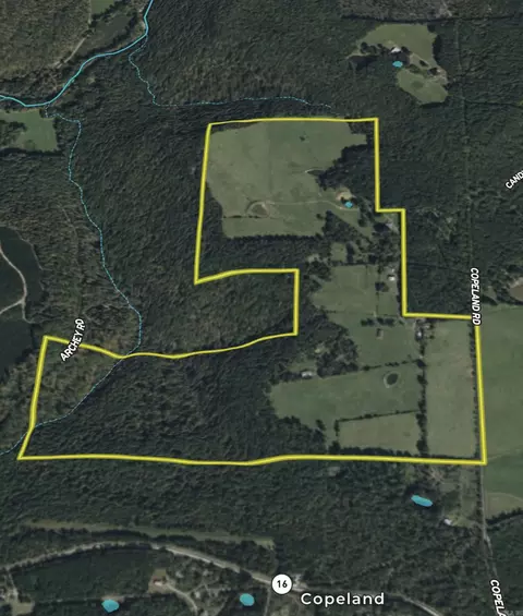 313 Cone Ln, Clinton, AR 72031 photo 47