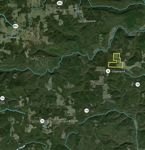 313 Cone Ln, Clinton, AR 72031 photo 49