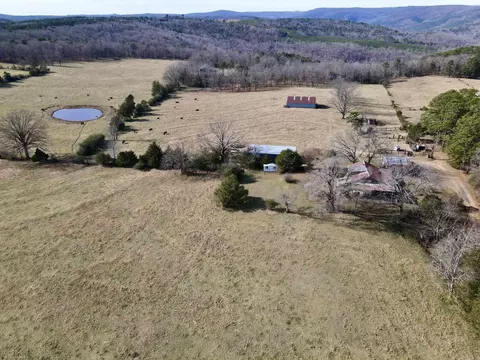 313 Cone Ln, Clinton, AR 72031 photo 39