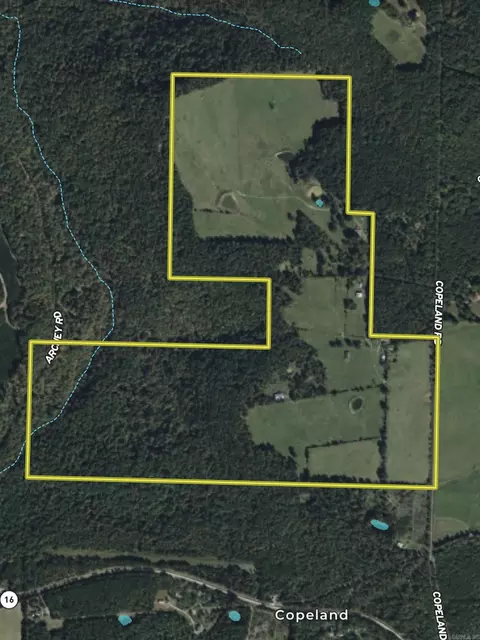 313 Cone Ln, Clinton, AR 72031 photo 48