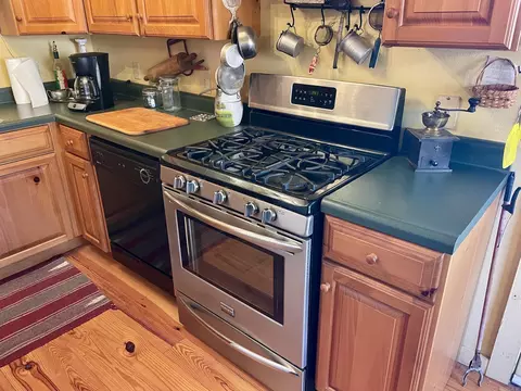 313 Cone Ln, Clinton, AR 72031 photo 19