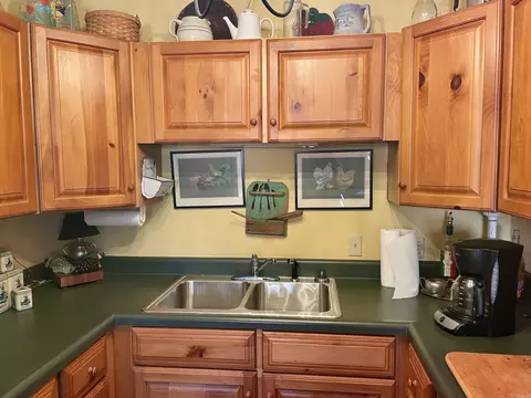 313 Cone Ln, Clinton, AR 72031 photo 20