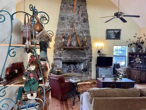 313 Cone Ln, Clinton, AR 72031 photo 33